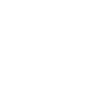 White & Case